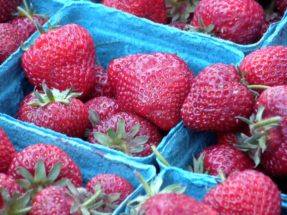Fresh Primer: Strawberries | LunaCafe