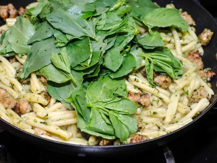 Adding Fava Bean Greens to Strozzapreti Pasta with Fava Bean Greens Pesto, Spicy Italian Sausage & Toasted Walnuts 