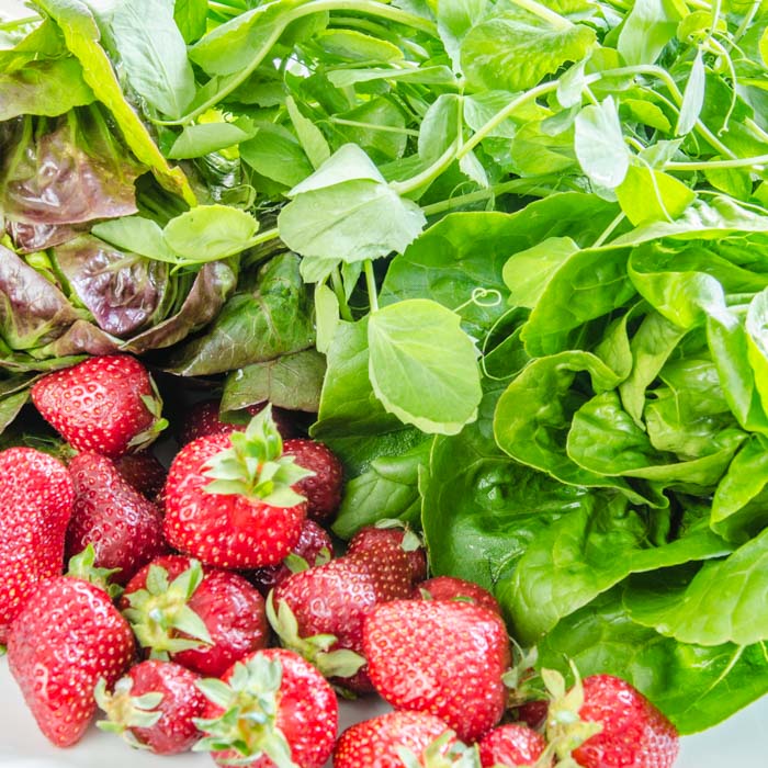 Strawberry, Baby Lettuce, & Pea Vine Salad with Strawberry Balsamic Syrup | LunaCafe